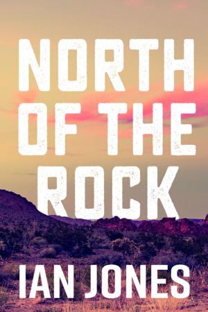 Cover of the book North Of The Rock by Jennifer L. Cahill