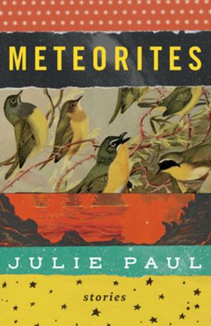 Cover of the book Meteorites by Jayne Seagrave