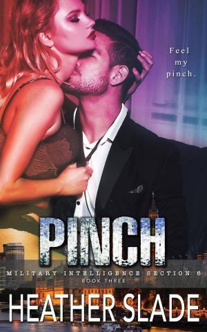Cover of the book Pinch by Jaycee Clark