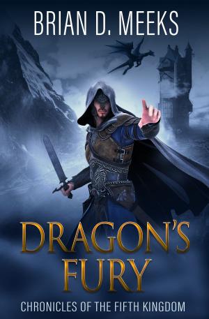 Cover of the book Dragon's Fury by Pip Ballantine