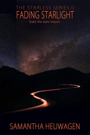 Cover of the book Fading Starlight by Katherine Bacher