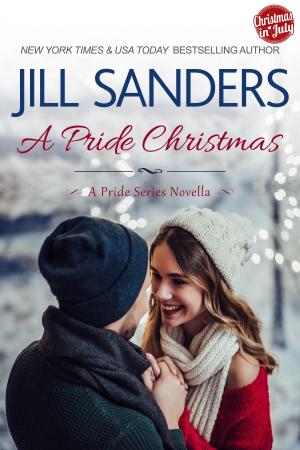 bigCover of the book A Pride Christmas by 
