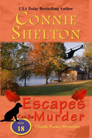 Cover of the book Escapes Can Be Murder by Connie Shelton