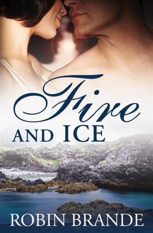 Cover of the book Fire and Ice by Steven F. Warnock