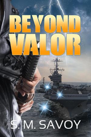 Cover of the book Beyond Valor by Matt Luciani