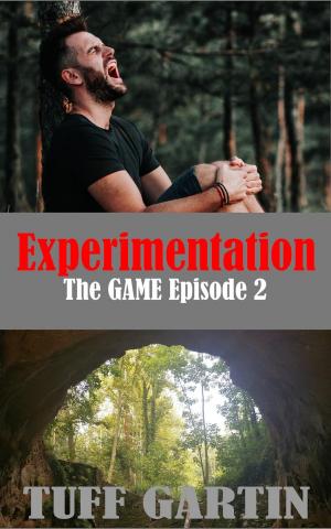 bigCover of the book Experimentation by 