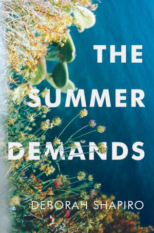 Cover of the book The Summer Demands by Jokha Alharthi