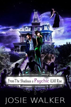 Cover of the book From the Shadows a Psychic Will Rise by Demi Knight