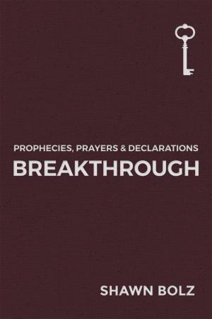 Cover of the book Breakthrough by N. Turner Simkins