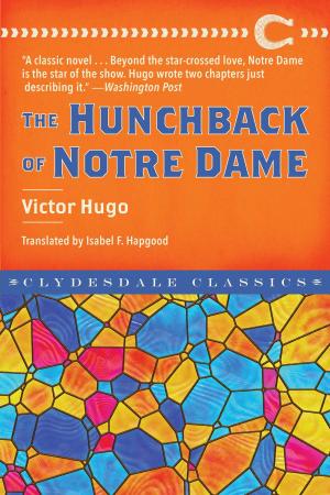 Cover of the book The Hunchback of Notre Dame by Heidi Garrett