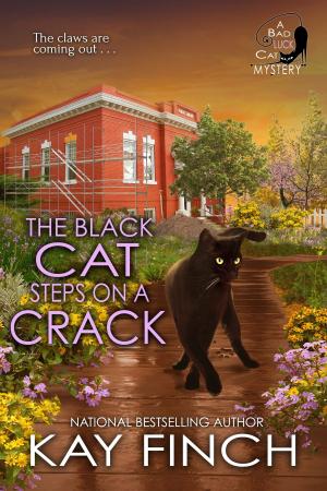 Book cover of The Black Cat Steps on a Crack