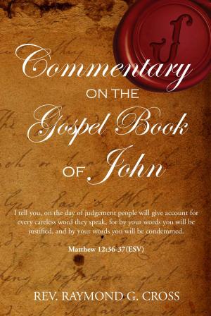 Book cover of The Gospel Book of John