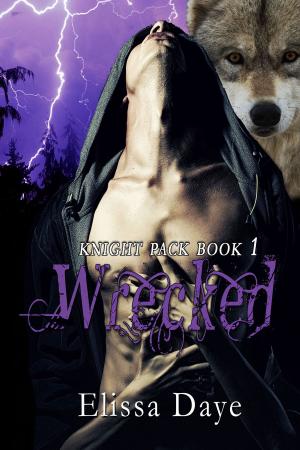 Cover of the book Wrecked by Kathi S Barton