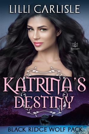bigCover of the book Katrina's Destiny by 