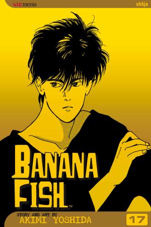 Book cover of Banana Fish, Vol. 17