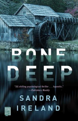 Cover of the book Bone Deep by Inside Analysis