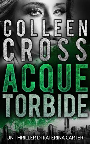 Book cover of Acque torbide