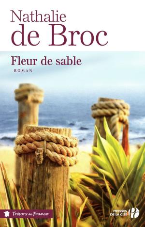 Cover of the book Fleur de sable (TF) by Colum MCCANN, Frank MCCOURT