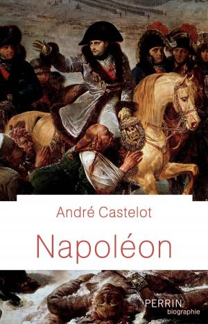 Cover of the book Napoléon by Jane CASEY