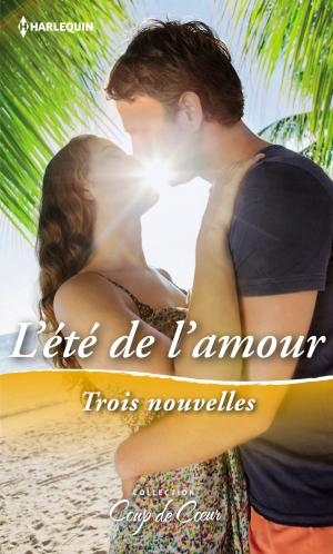 Book cover of L'été de l'amour