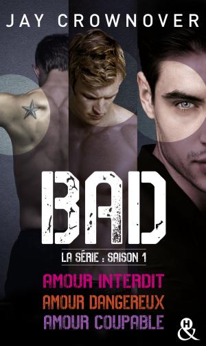 Cover of the book Bad - La série : saison 1 by Melissa Collins