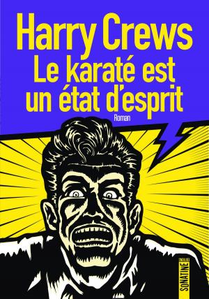 Cover of the book Le karaté est un état d'esprit by Alex MARZANO-LESNEVICH