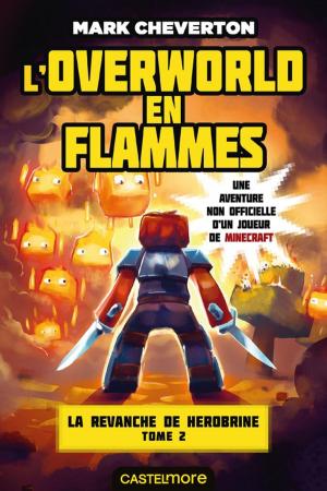 Cover of the book L'Overworld en flammes by Jennifer Echols
