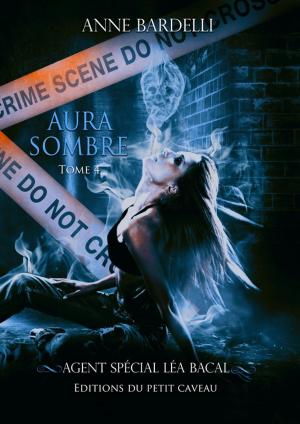Cover of the book Aura Sombre by Patrice Verry