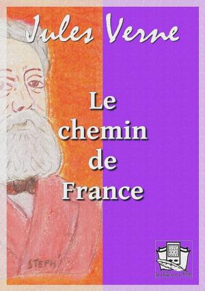 Cover of the book Le chemin de France by Luis Delgado Bañón