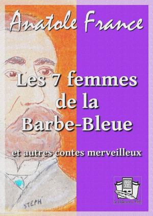 Book cover of Les sept femmes de la Barbe-Bleue
