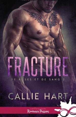 Cover of the book Fracture by Jane Harvey-Berrick