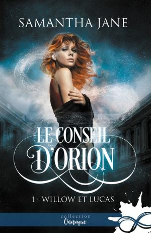 Cover of the book Willow et Lucas by Mylène Régnier