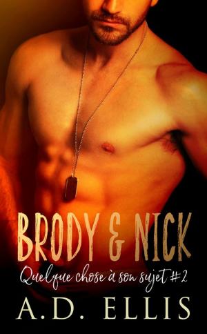 Cover of the book Brody & Nick by Silvia Violet