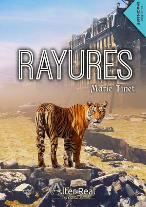 Cover of the book Rayures by Isabelle Bruffaert