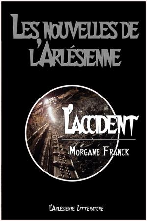 Cover of the book L'accident by Sara Robbins