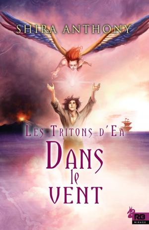 Cover of the book Dans le vent by K-Lee Klein