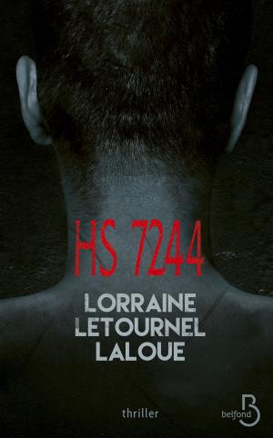 Cover of the book HS 7244 by Barry Crowther