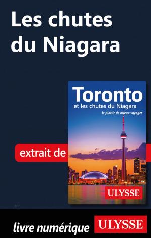 Cover of Les chutes du Niagara