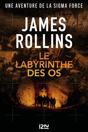Cover of the book Le labyrinthe des os by Galatée de Chaussy