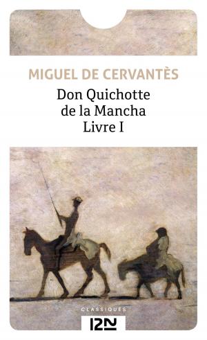 Book cover of Don Quichotte volume 1