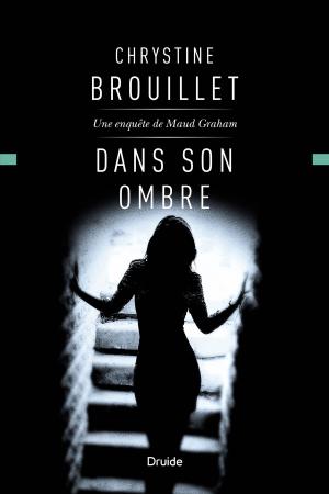 Cover of the book Dans son ombre by Claude Brisebois