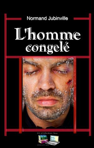 Cover of the book L'homme congelé by Normand Jubinville