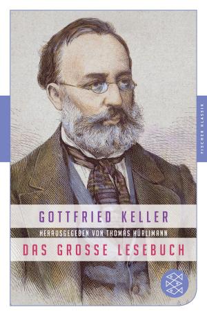 Cover of the book Das große Lesebuch by Frido Mann