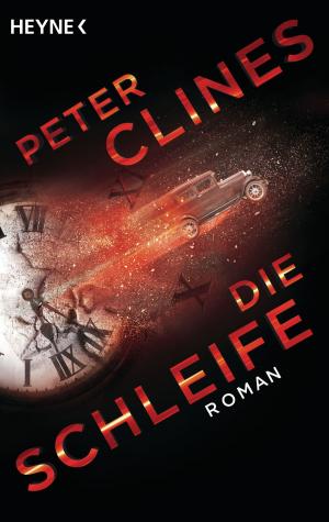 Cover of the book Die Schleife by Peter V. Brett