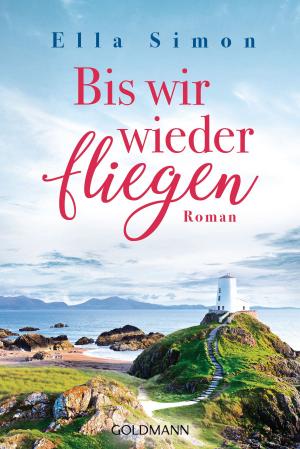 Book cover of Bis wir wieder fliegen