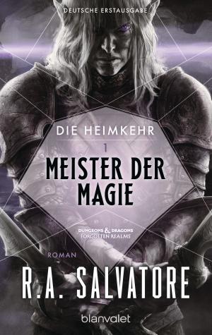 Cover of the book Die Heimkehr 1 - Meister der Magie by Emma Wildes