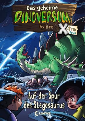 Book cover of Das geheime Dinoversum Xtra 7 - Auf der Spur des Stegosaurus
