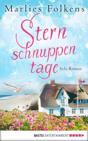 Cover of the book Sternschnuppentage by Christian Seiler, Nora Stern, Andreas Kufsteiner, Christian Seiler, Karin Graf