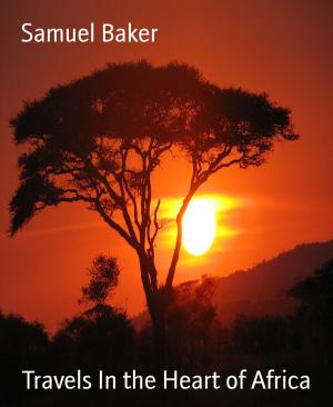 Cover of the book Travels In the Heart of Africa by Mitchell Isaac Friedman