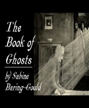 Cover of the book The Book of Ghosts by Noah Daniels